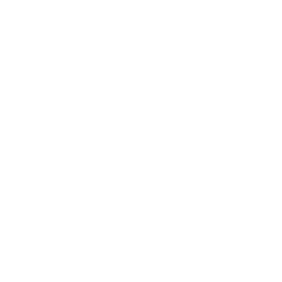 Shield icon